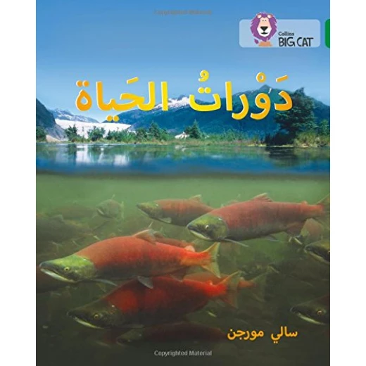 دورات الحياة - كولنز دورات الحياة - كولنز