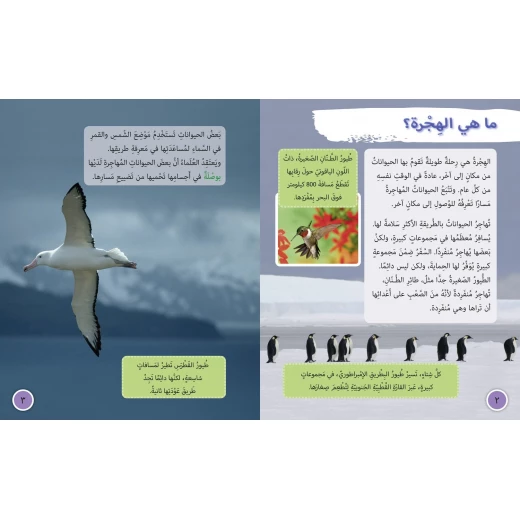 هجرة الحيوانات -  كولنز - كولينز بيج كات - Image 4