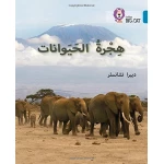 هجرة الحيوانات -  كولنز - كولينز بيج كات