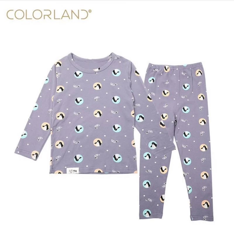 Colorland 2 pieces Set for all season 24-36 Months - كولورلاند