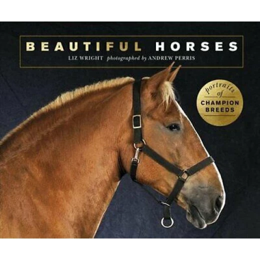 Beautiful Horses Book Beautiful Horses Book