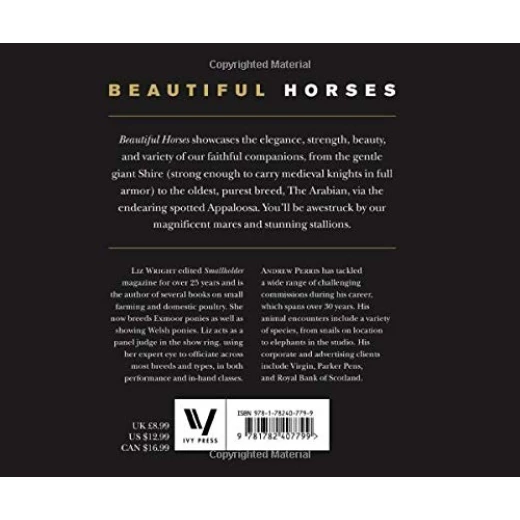 Beautiful Horses Book - Image 2