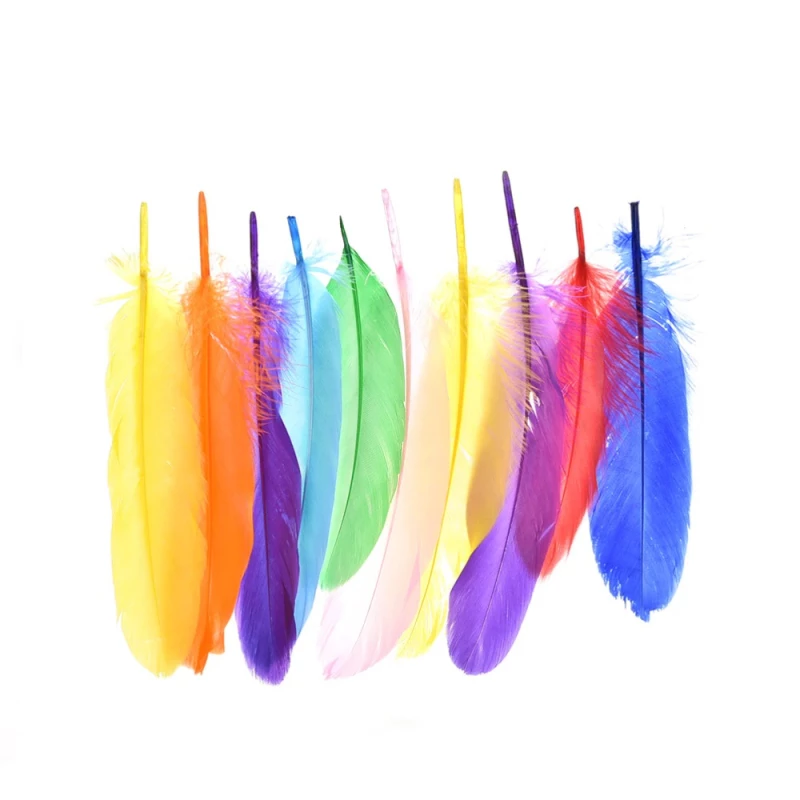 Foska Colored feathers set - Foska