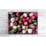 ExtraOrdinary Decorative Wood Framed Wall Art Prints, Mix Flower, A3 size - إكسترا أورديناري