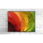 ExtraOrdinary Decorative Wood Framed Wall Art Prints, Mix Fall Posters, A3 size - إكسترا أورديناري