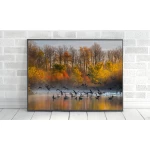 ExtraOrdinary Decorative Wood Framed Wall Art Prints, Mix Fall Posters, A4 size - إكسترا أورديناري