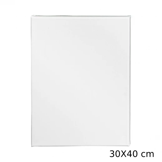 لوحة قماشية من أميجو 30X40سم لوحة قماشية من أميجو 30X40سم