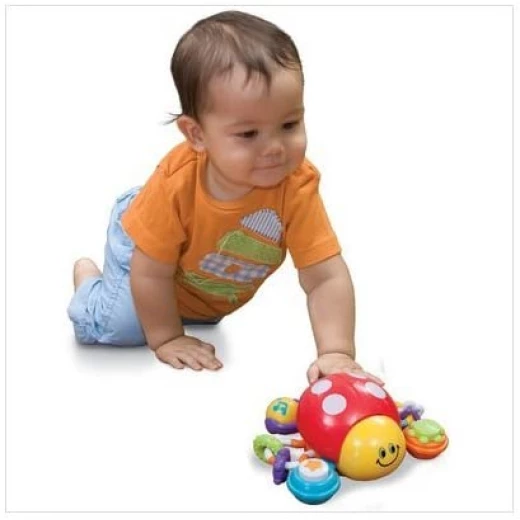 Winfun Press ’n Go النشاط الخنفساء - وين فن - Image 3