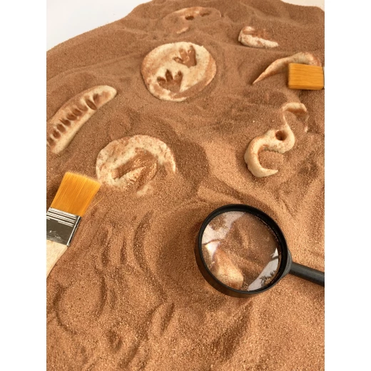 YIPPEE! Sensory Dinosaur Fossil Kit by Rahma - Yippee - Image 5