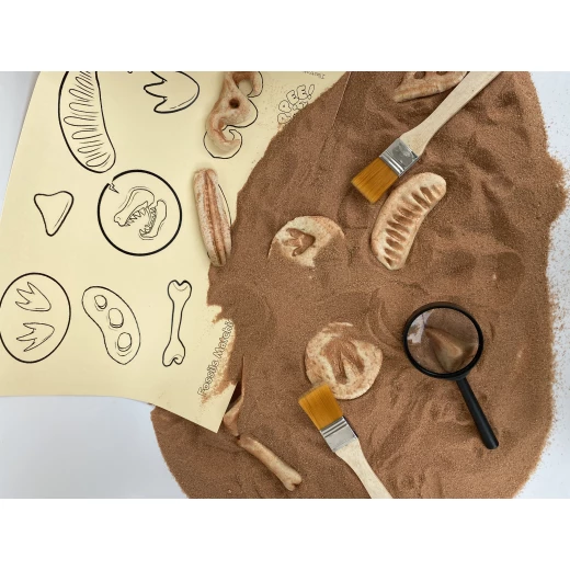 YIPPEE! Sensory Dinosaur Fossil Kit by Rahma - Yippee - Image 3