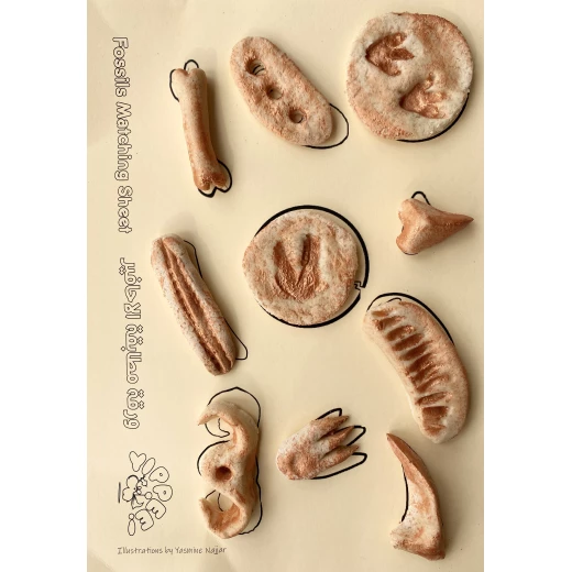 YIPPEE! Sensory Dinosaur Fossil Kit by Rahma - Yippee - Image 4