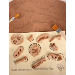 YIPPEE! Sensory Dinosaur Fossil Kit by Rahma