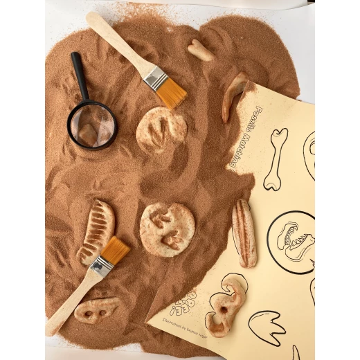 YIPPEE! Sensory Dinosaur Fossil Kit by Rahma - Yippee - Image 6