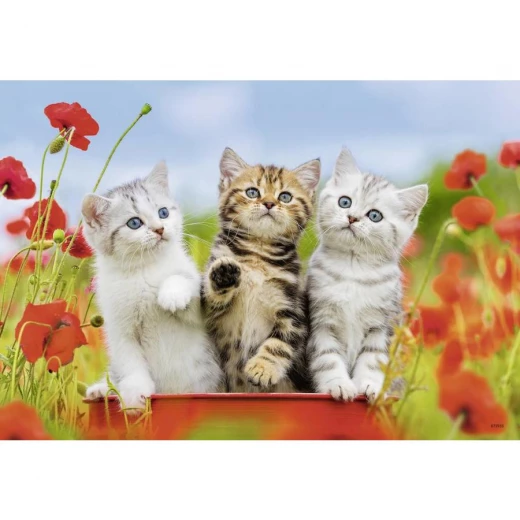 Ravensburger Puzzle Kitten Adventures (2X12pc) - رافينسبرغر - Image 3