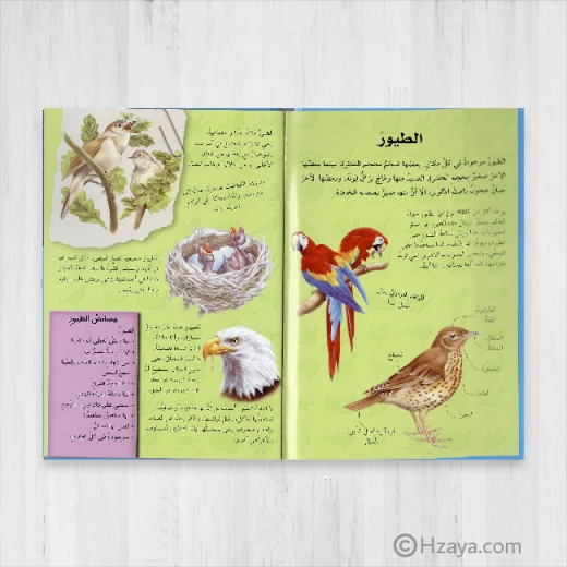 (اكتشف مع التلسكوب ثلاثي الأبعاد (الطيور - دار المعارف - Image 3