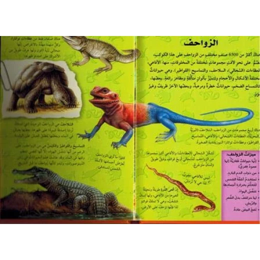 (اكتشف مع التلسكوب ثلاثي الأبعاد (الزواحف - دار المعارف - Image 2