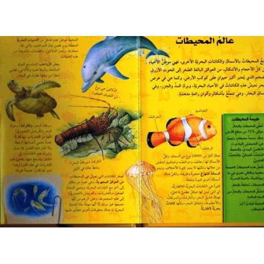 (اكتشف مع التلسكوب ثلاثي الأبعاد (عالم المحيطات - دار المعارف - Image 2