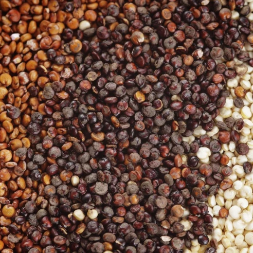 Dragon Superfoods Organic Tricolor Quinoa (300g) - Dragon Superfoods - Image 2