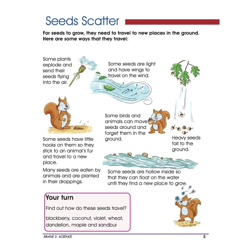 Smart Scholars Grade 2 Science - او ام - Image 2