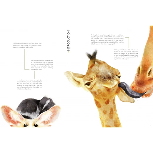 White Star - 100% Full Size Baby Animals - وايت ستار - Image 3