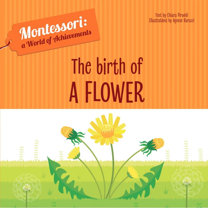 White Star - Birth of a Flower - Montessori: A World of Achievements - وايت ستار