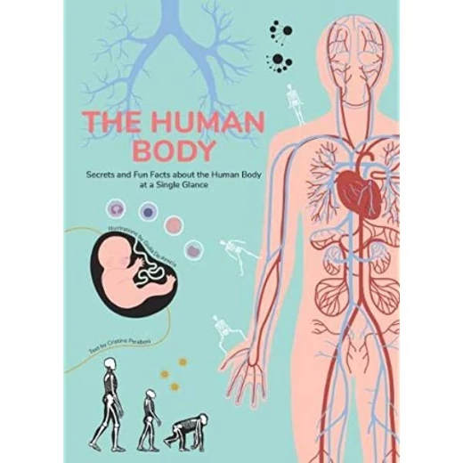 White Star - Human Body : Secrets and Fun Facts About the Human Body at a Single Glance White Star - Human Body : Secrets and Fun Facts About the Human Body at a Single Glance