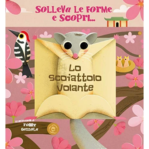 White Star - The Flying Squirrel - Square White Star - The Flying Squirrel - Square