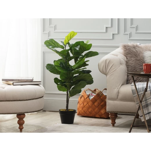 Madame Coco - Joncher Potted Plant, 100 cm Madame Coco - Joncher Potted Plant, 100 cm