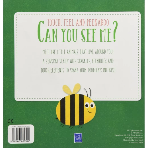 Yoyo Book - Can You See Me: Frog - كتب يويو - Image 2
