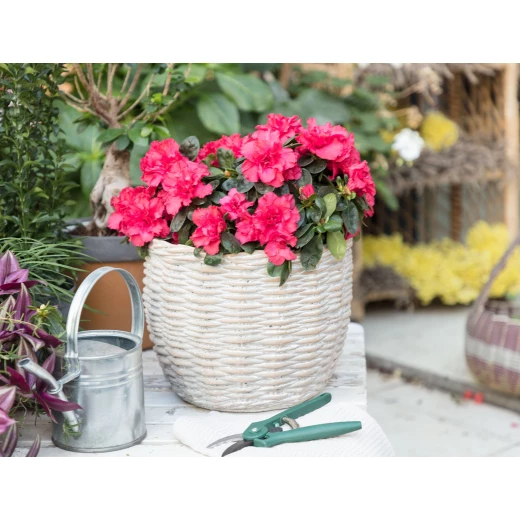 Madame Coco - Bernelle Flower Pot - Camel Madame Coco - Bernelle Flower Pot - Camel