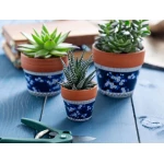 Madame Coco - Francine Ceramic Flower Pot - Blue / White - مدام كوكو