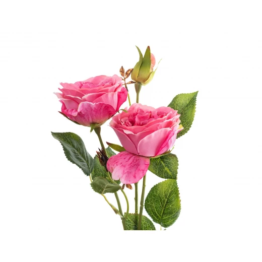 Madame Coco - La Bambola Rose, Pink - مدام كوكو - Image 3