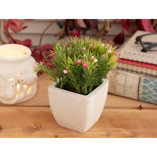 Madame Coco - Minion Rose Pot With Plant, Pink Madame Coco - Minion Rose Pot With Plant, Pink