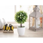 Madame Coco - Patrıce Pot Wıth Plant - مدام كوكو