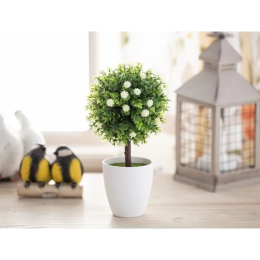 Madame Coco - Patrıce Pot Wıth Plant Madame Coco - Patrıce Pot Wıth Plant