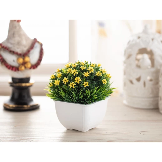 Madame Coco - Sorel Pot Wıth Plant, Yellow Madame Coco - Sorel Pot Wıth Plant, Yellow