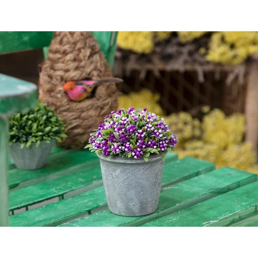 Madame Coco - Darcy Pot With Plant, Purple Madame Coco - Darcy Pot With Plant, Purple