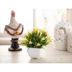 Madame Coco - Hedvige Pot With Plant, Yellow - مدام كوكو