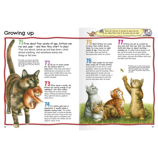 Miles Kelly - 100 Facts Cats & Kittens - مايلز كيلي - Image 3