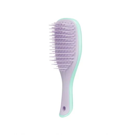 Tangle Teezer the Wet Detangler Mini Small Mint Lilac Brush Tangle Teezer the Wet Detangler Mini Small Mint Lilac Brush