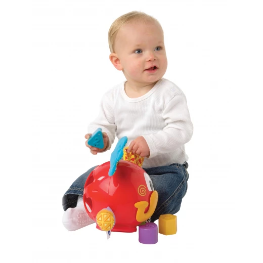 Playgro Elephant Shape Sorter - بلاي جرو - Image 4