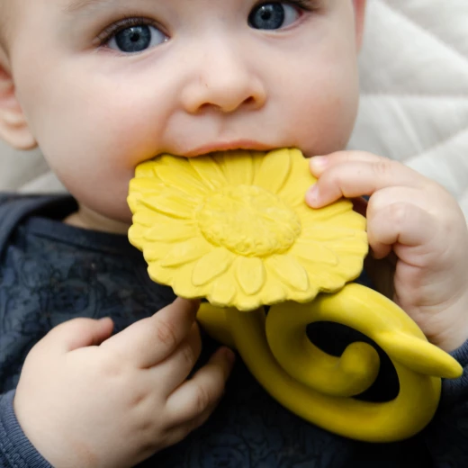 Skip Hop Teether Sunflower - سكيب هوب - Image 2