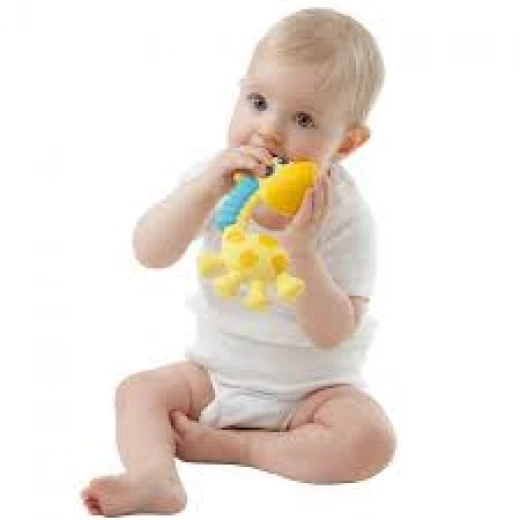 Playgro Squeak and Soothe Natural Teether - بلاي جرو - Image 8