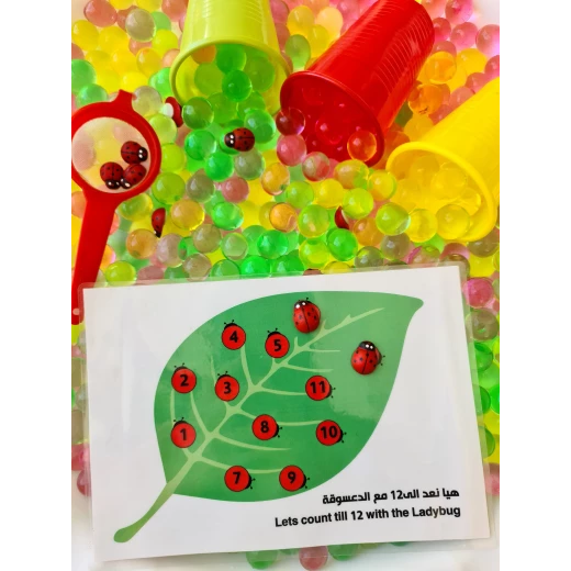 YIPPEE! Sensory Ladybug Orbeez Kit YIPPEE! Sensory Ladybug Orbeez Kit