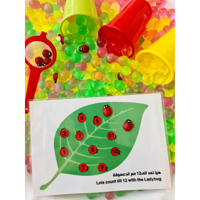 YIPPEE! Sensory Ladybug Orbeez Kit - يببي