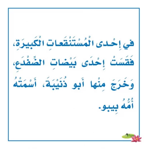 قصص: نادي القراءة:علوم م2 :04: اين بيتي من دار المنهل - دار المنهل - Image 3