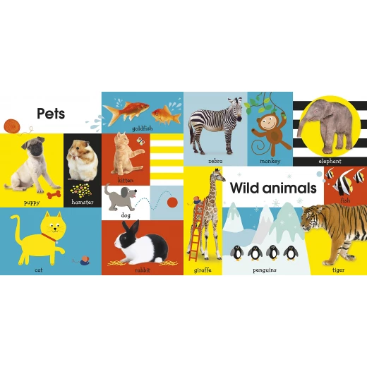 كتاب 100 كلمة أولى من دي كي - كتب دي كاي - Image 4
