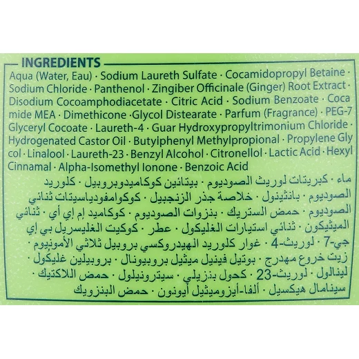 بيرت بلص شامبو بالزنجبيل لتساقط االشعر، 600 مل - بيرت بلس - Image 2