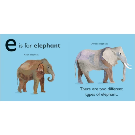 (E - للفيل ) - كتاب من كتب دي كي للنشر - كتب دي كاي - Image 2