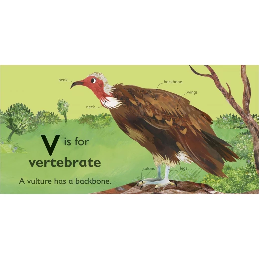 كتاب : في هو للنسر من دي كي - كتب دي كاي - Image 2